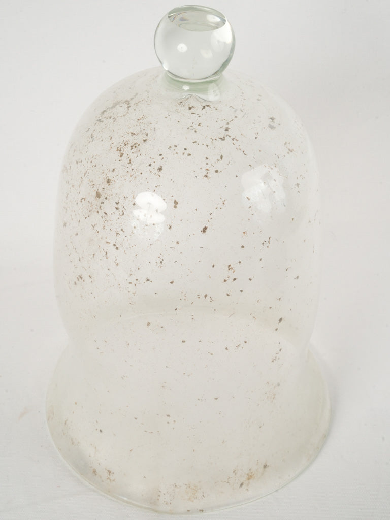 Large blown glass melon cloche