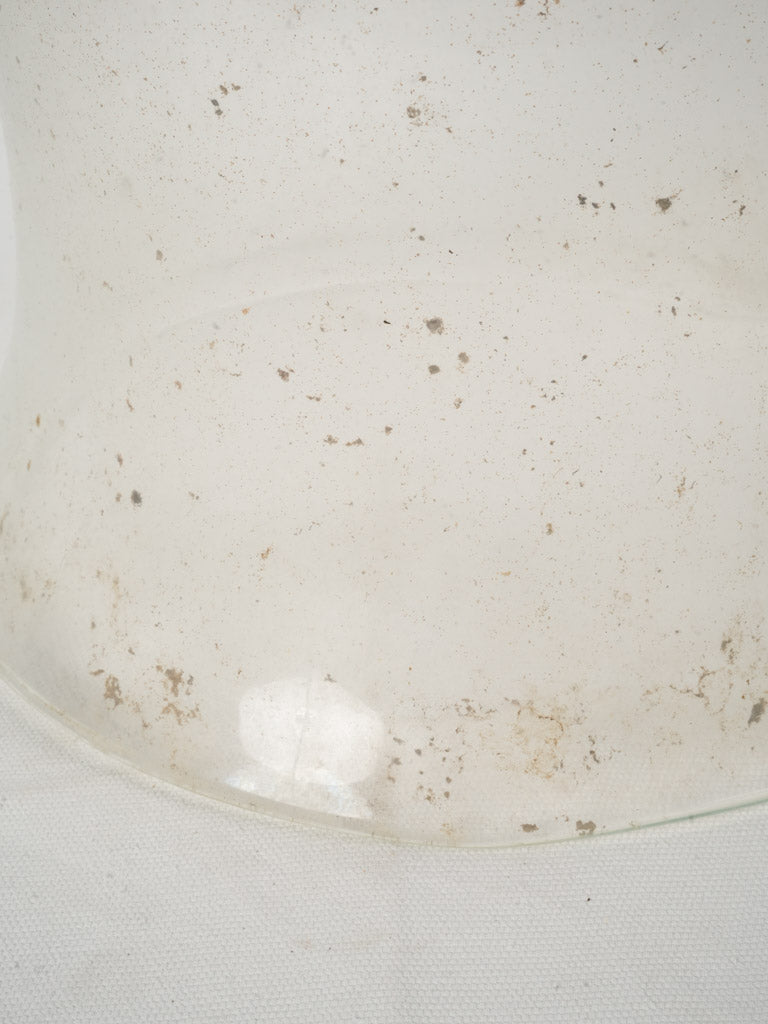 Historical transparent glass plant shield