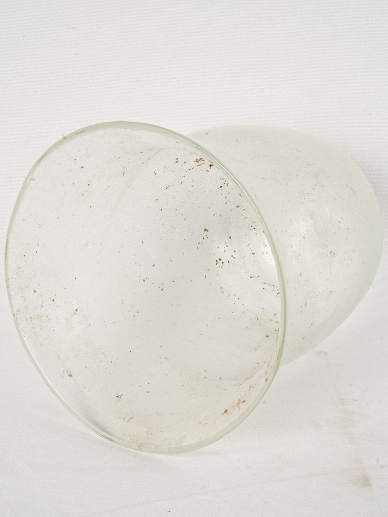 Charming antique glass horticultural cover