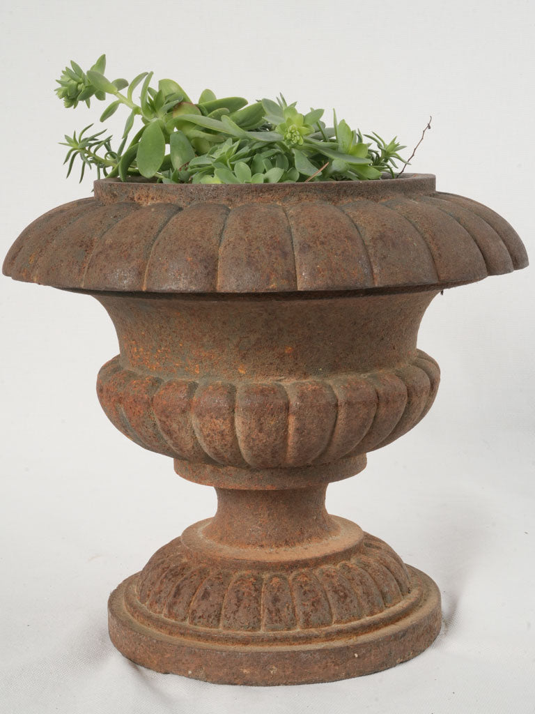 Classic Medici style planters