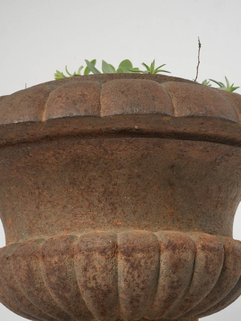Timeworn 19th-century French planters  
