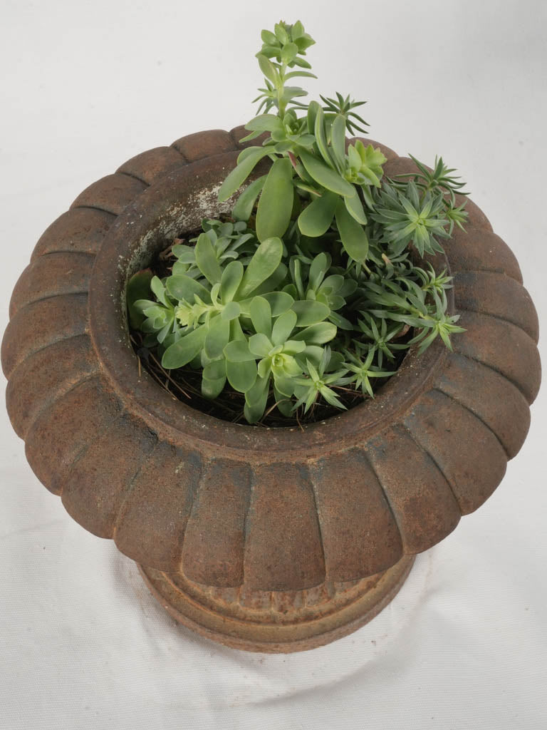 Stately decorative garden planters