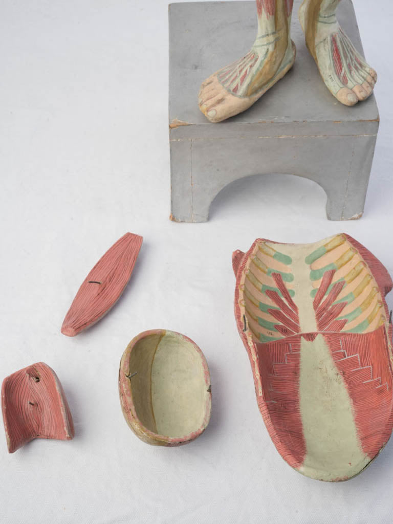 Expressive scientific art piece