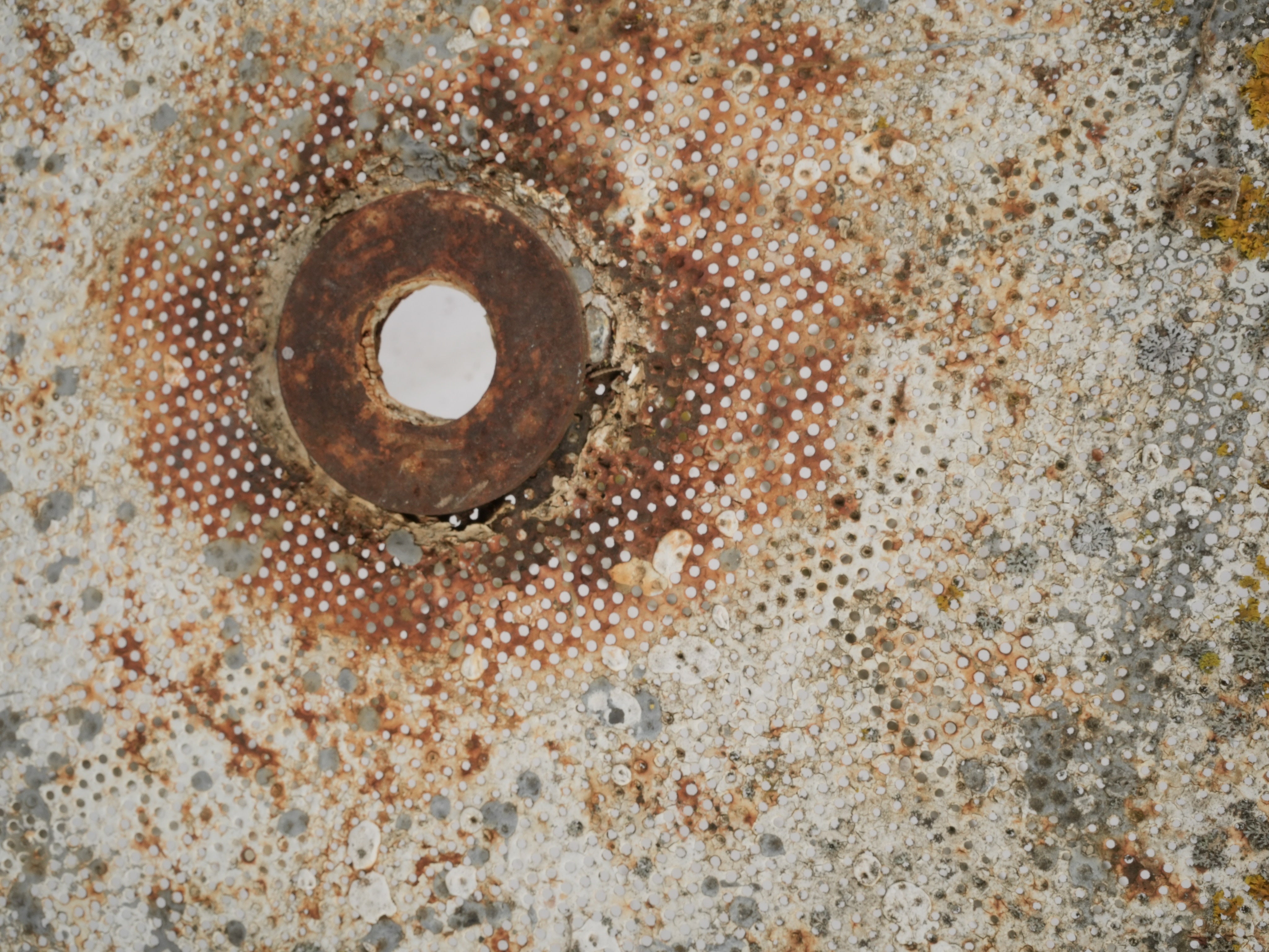Graceful lichen patina courtyard table