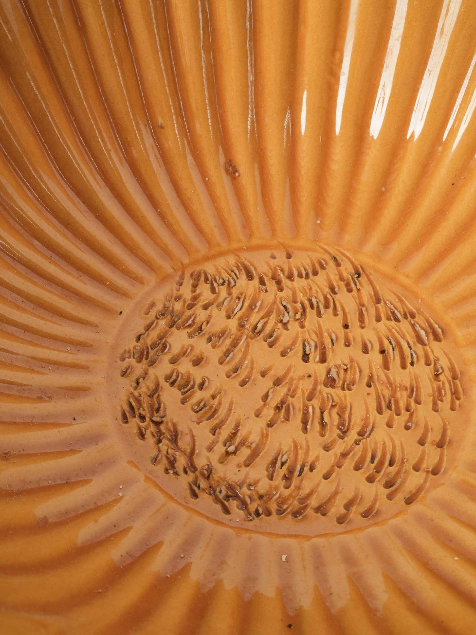 Provençal Ocher Glazed Ceramic Salad Bowl w/ Garlic Grater 12½"