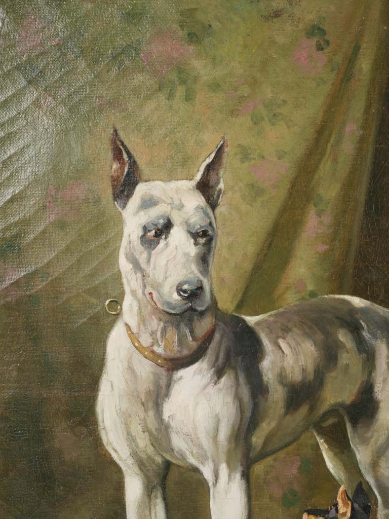 Expertly restored dog portrait