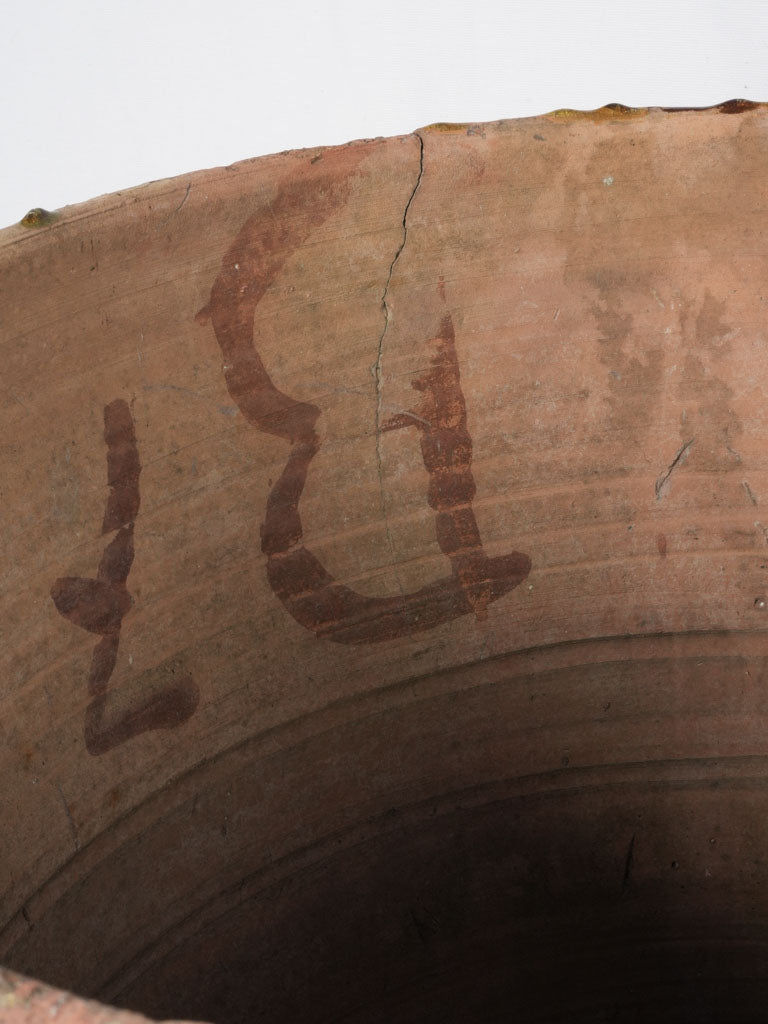 Terracotta tulip-shaped Anduze urns