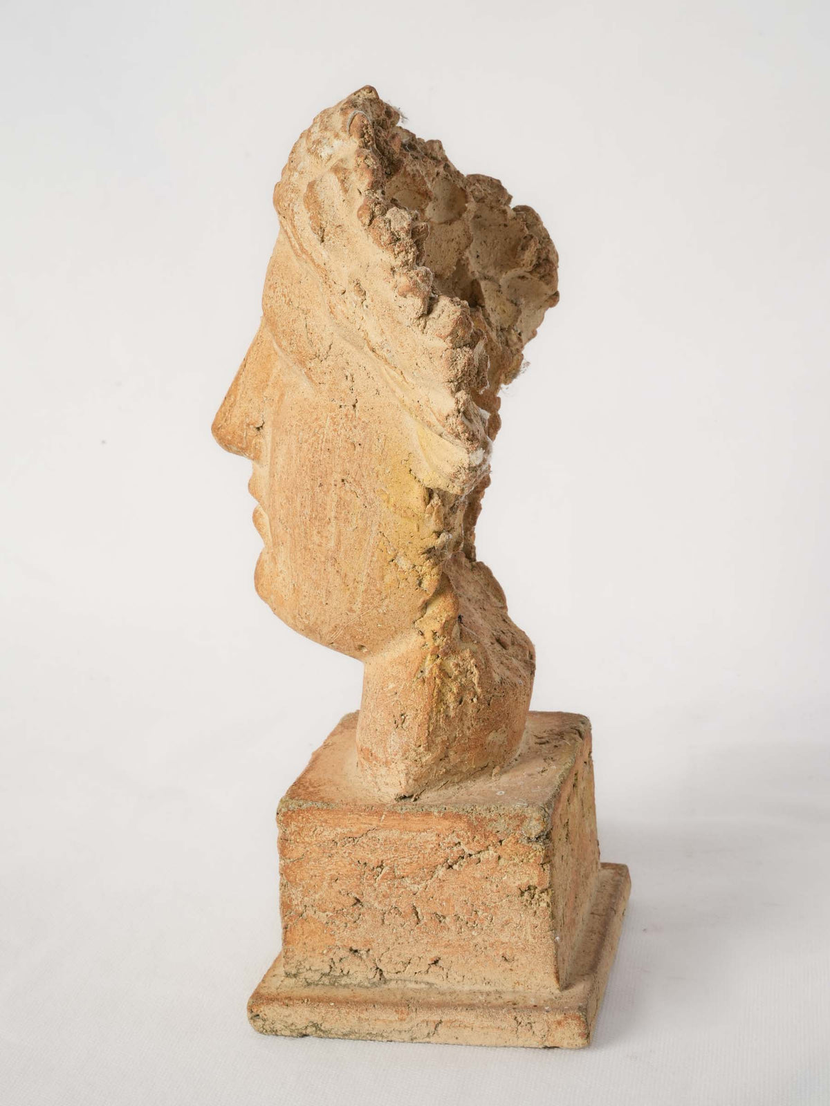 Vintage Terracotta Classical Female Bust on Plinth