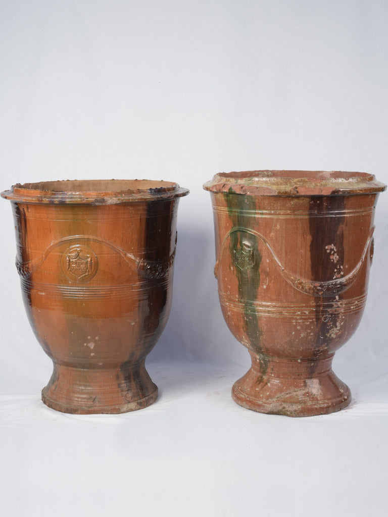 Terracotta tulip-shaped garden urns
