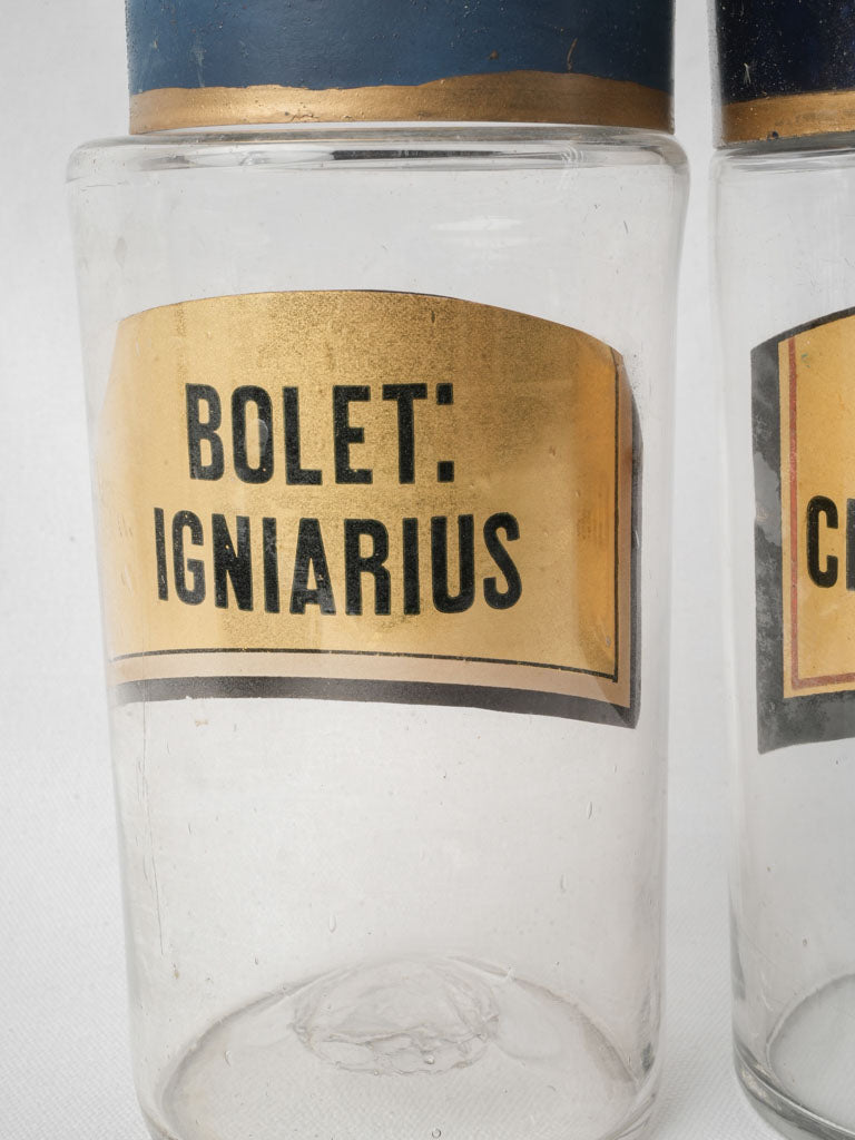 Pair of Antique French Glass Apothecary Bottles - 9½"