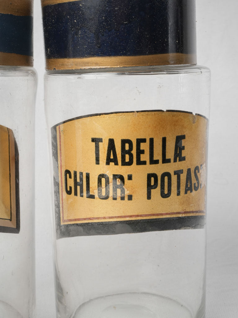 Pair of Antique French Glass Apothecary Bottles - 9½"