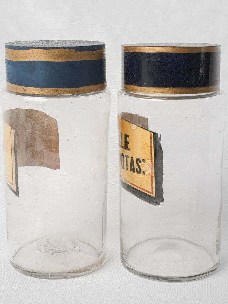 Pair of Antique French Glass Apothecary Bottles - 9½"