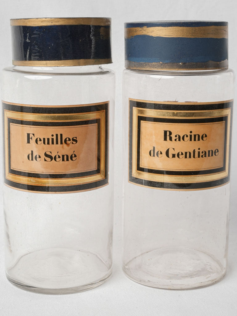 Pair of French Apothecary Bottles circa 1900 - 11""