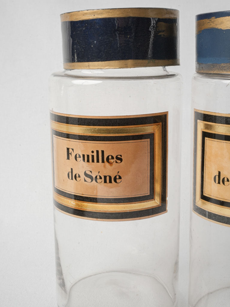 Pair of French Apothecary Bottles circa 1900 - 11""