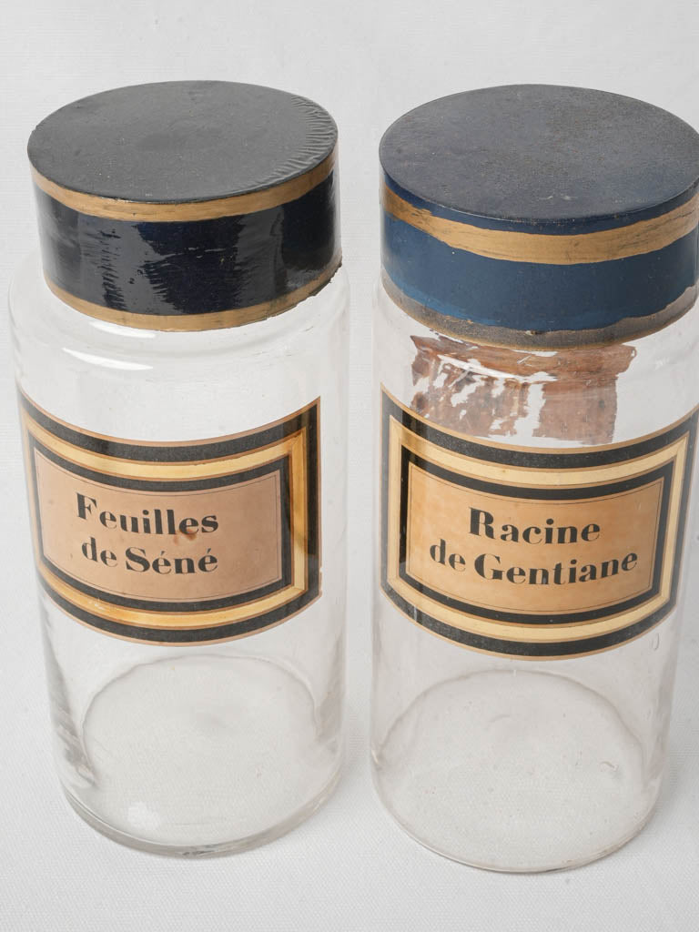 Pair of French Apothecary Bottles circa 1900 - 11""