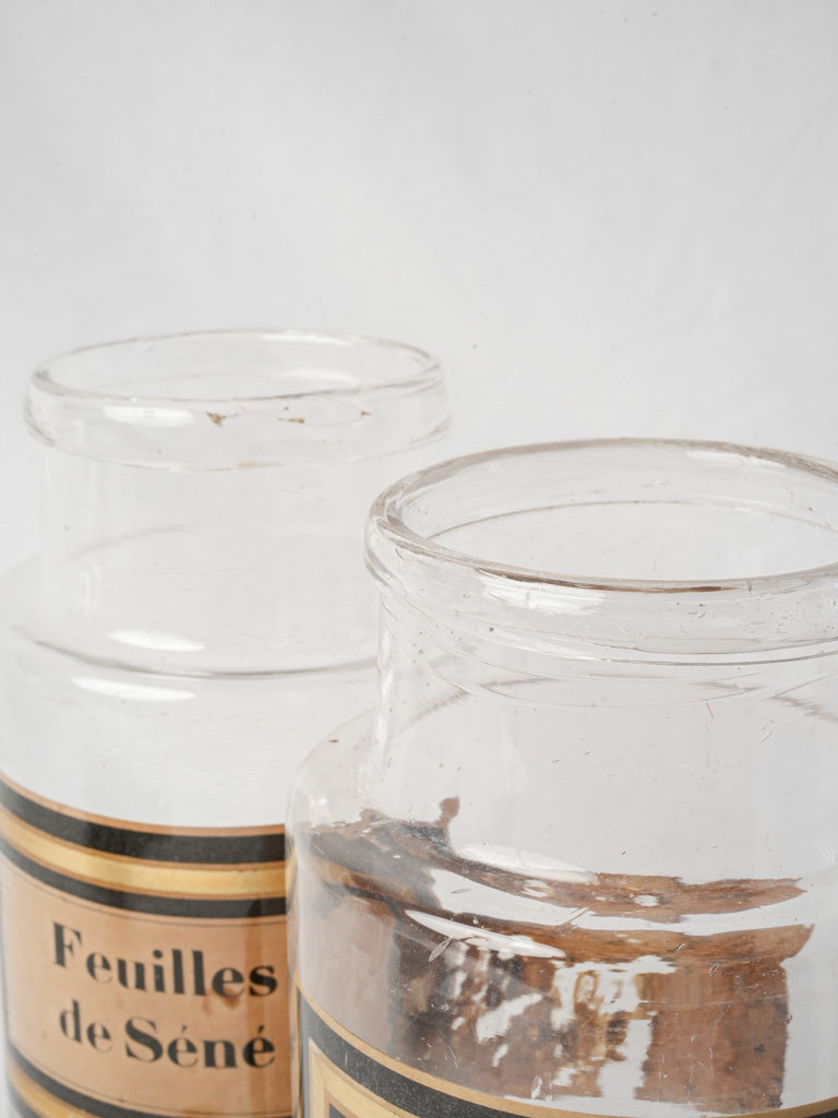 Pair of French Apothecary Bottles circa 1900 - 11""