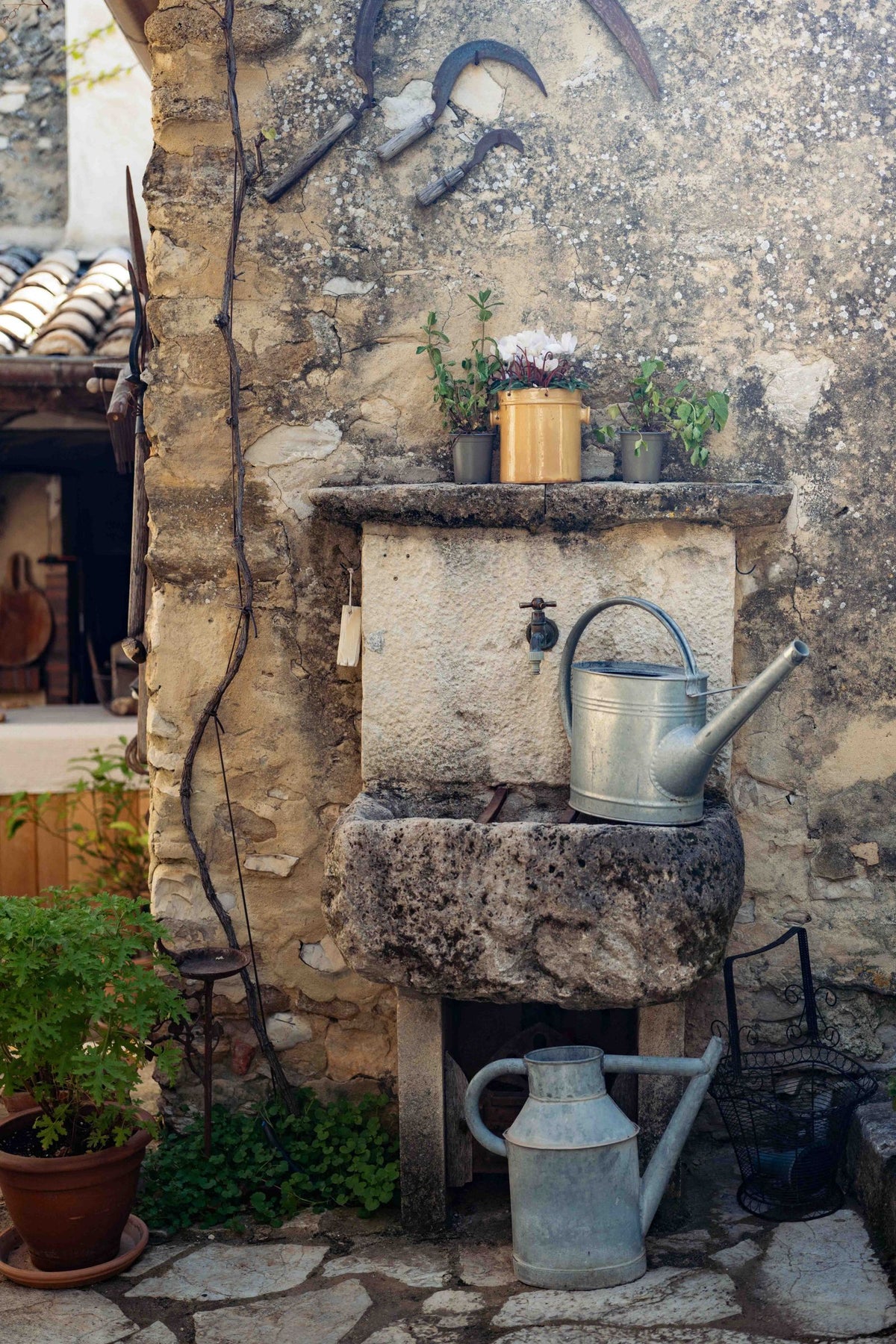 Vintage French Zinc Watering Can from Provence
