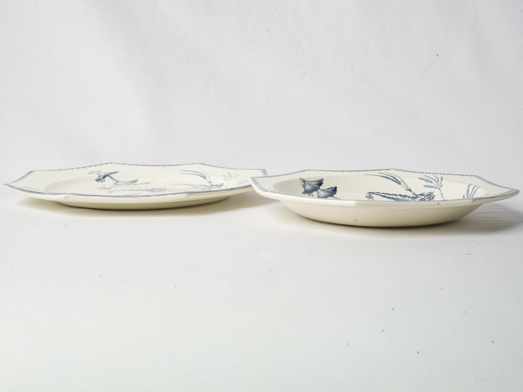 Coastal chic blue and white ironstone