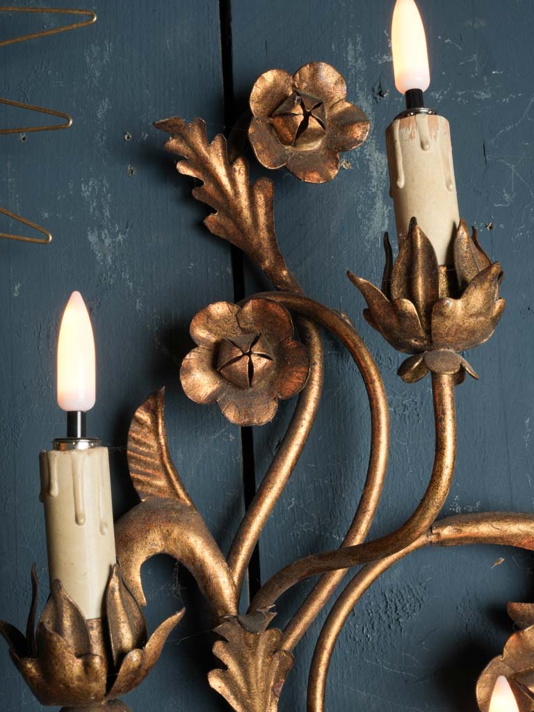 Ornate decorative Italian sconces