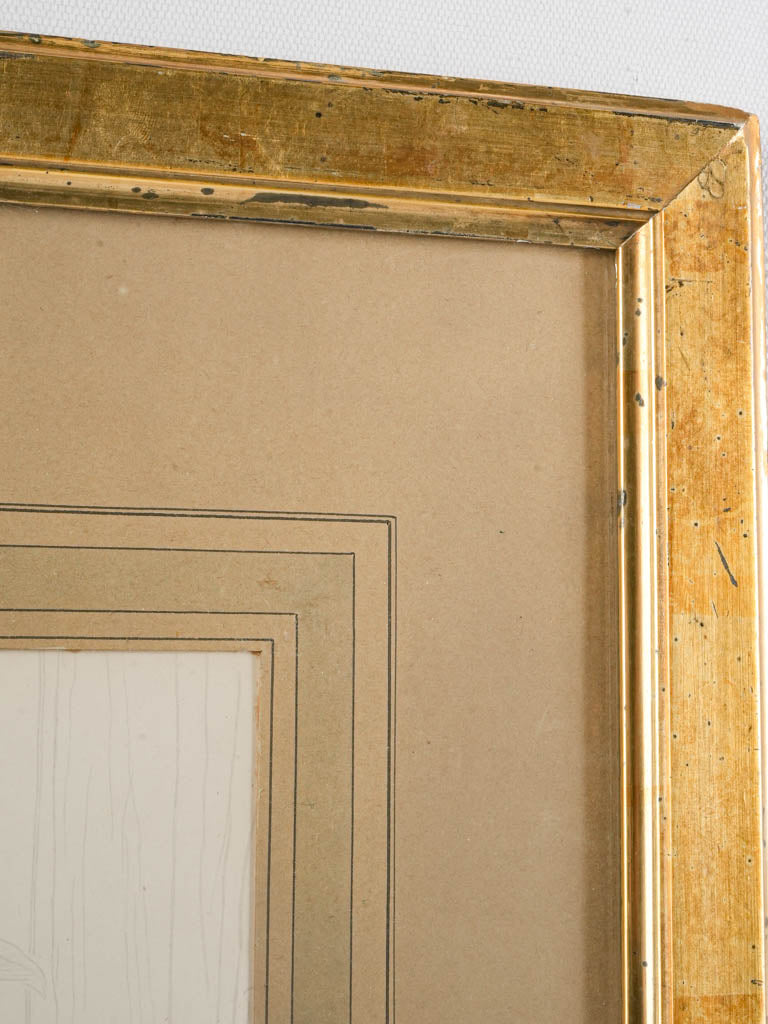 Authentic Ingres-inspired engraving