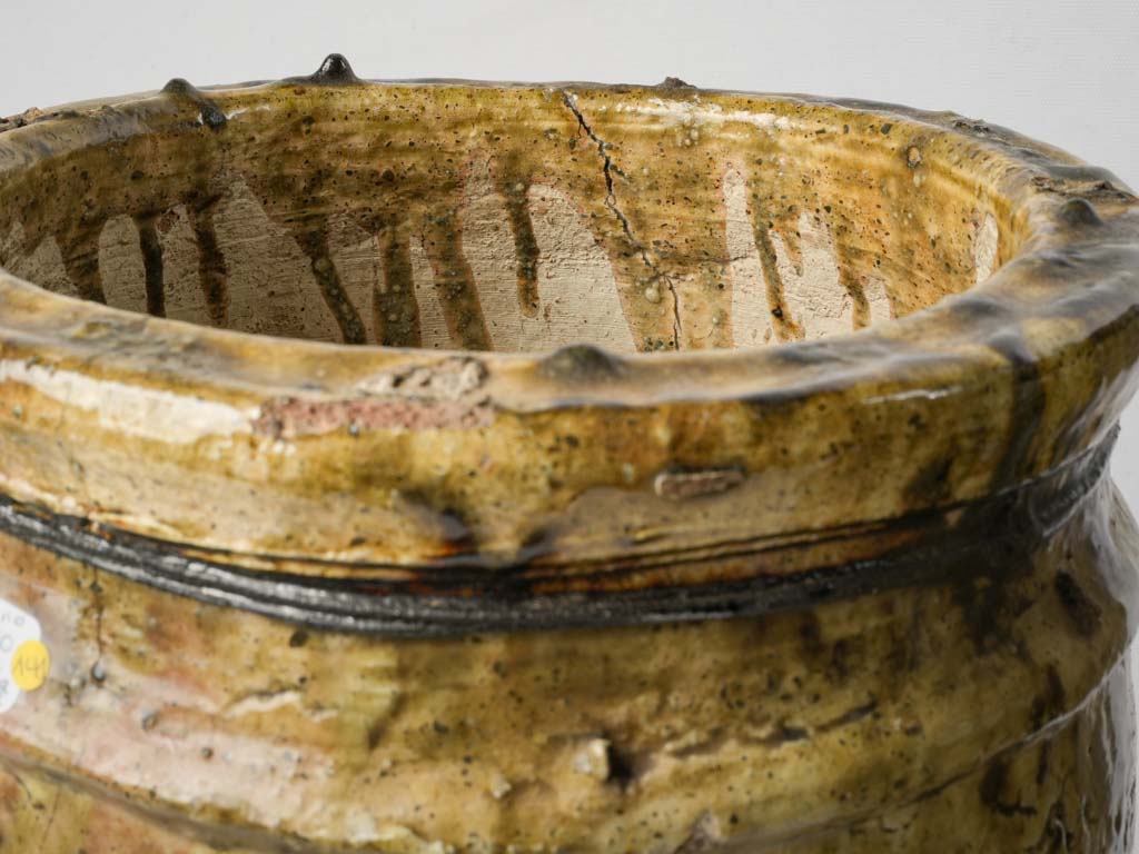 Olive green sculptural vessels