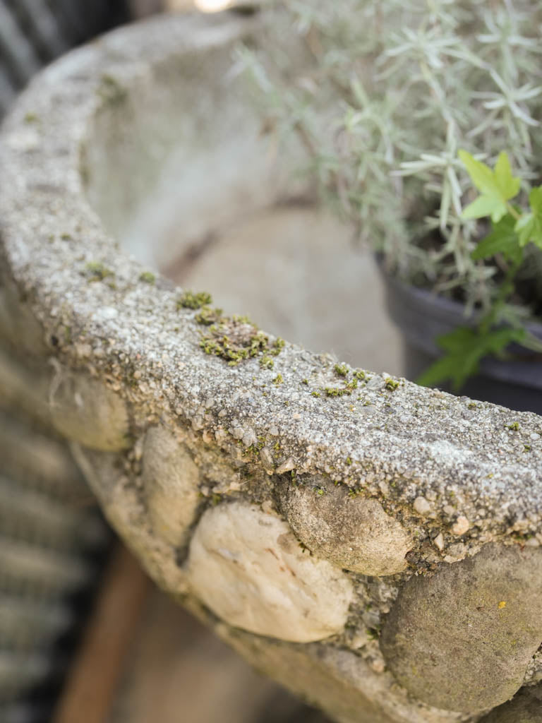 Charming lichen-covered planters