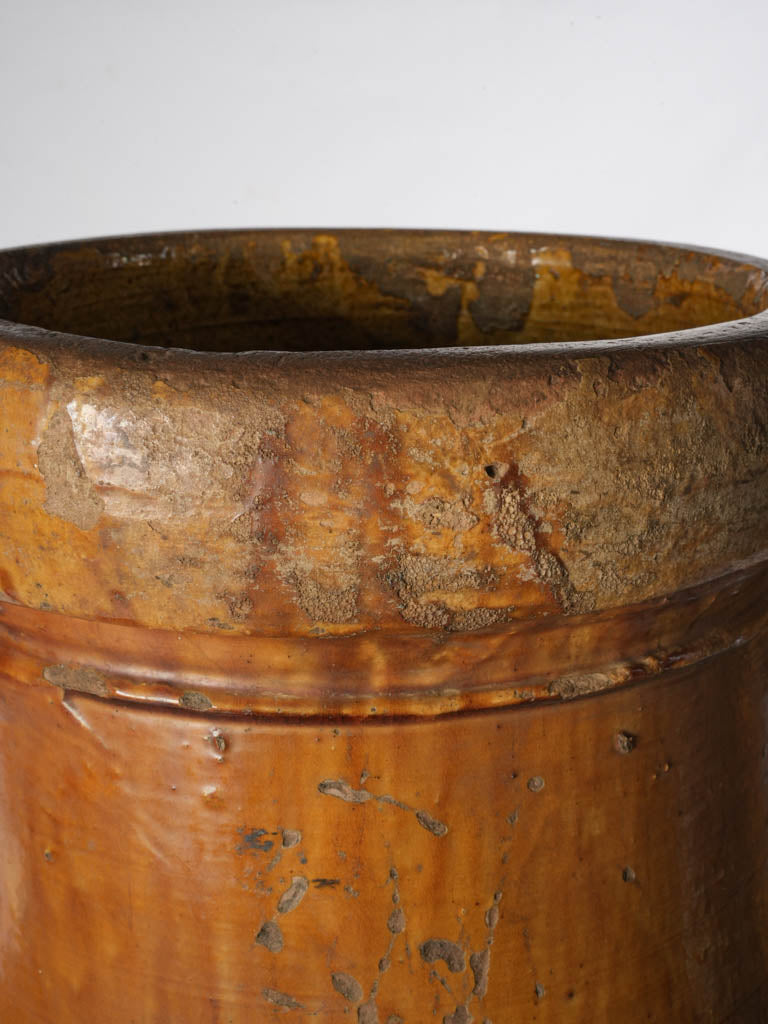 Restored elegant Italian amphora