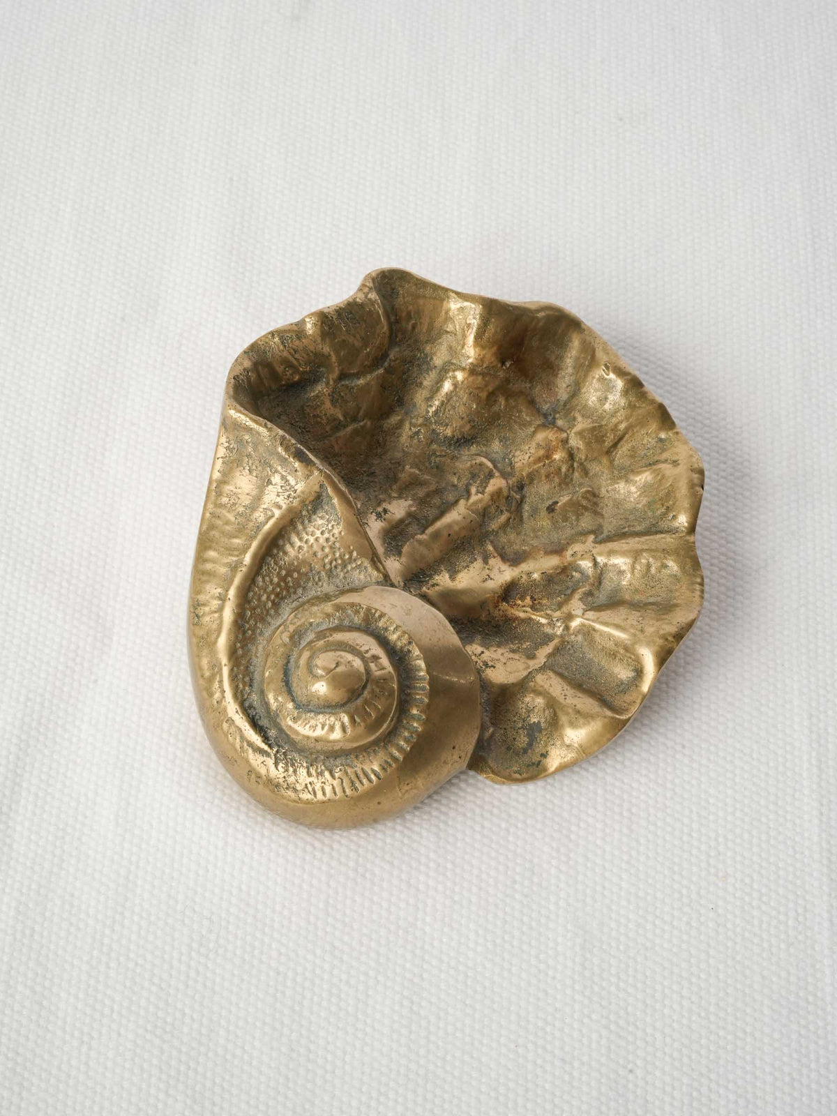 Naturalistic shell maritime accent