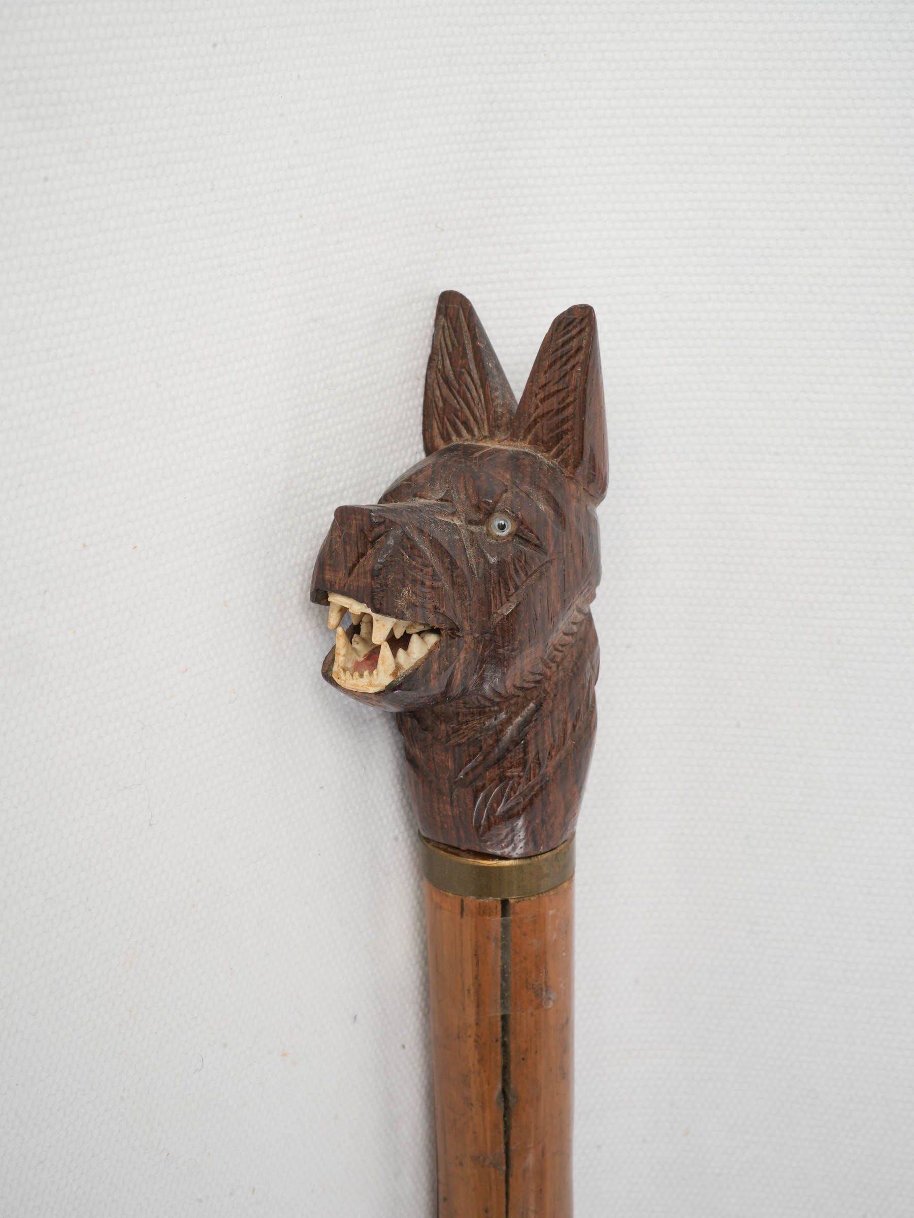 Expressive cane with glass eyes