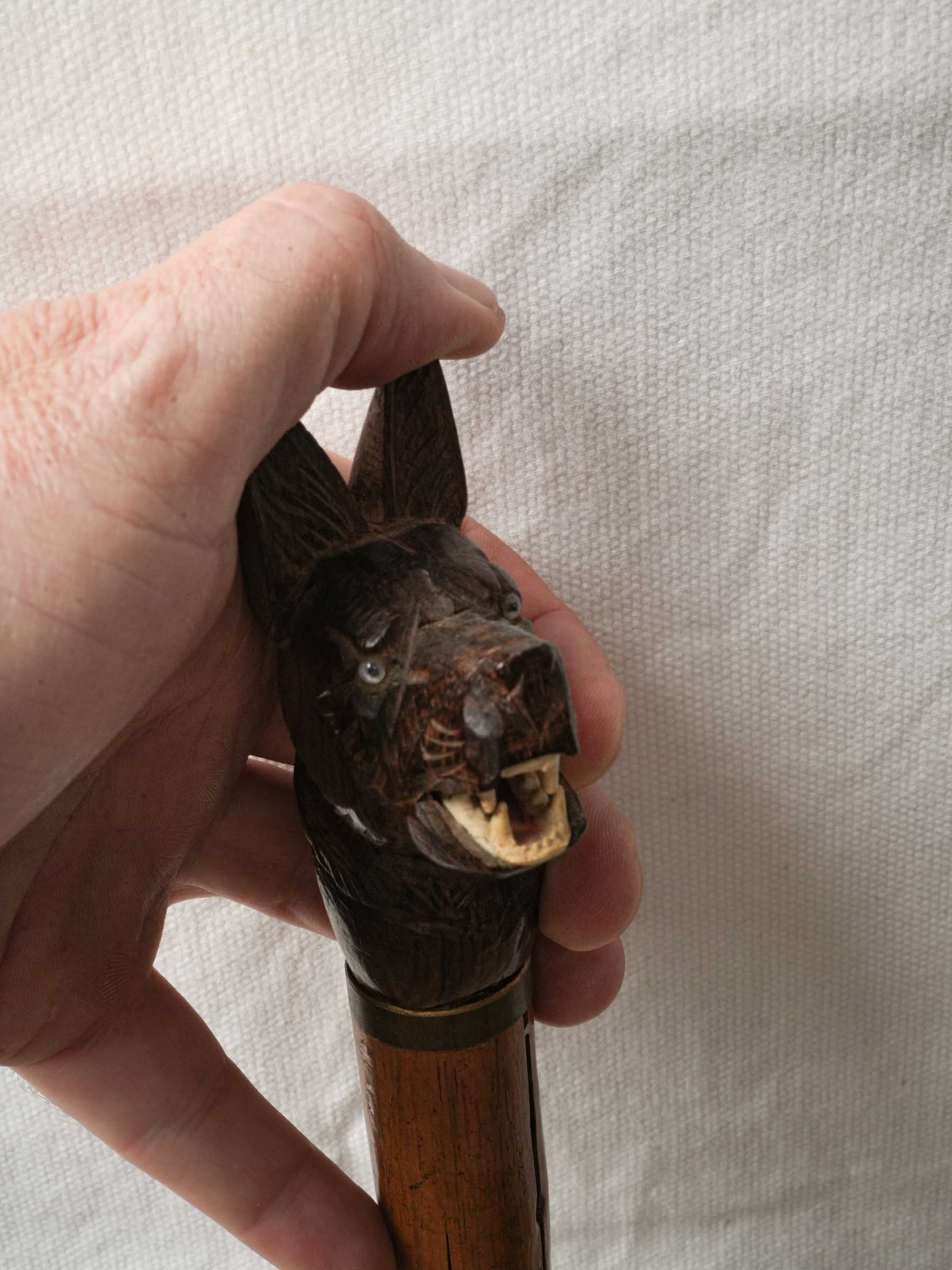 Aged sophisticated canine-handle cane