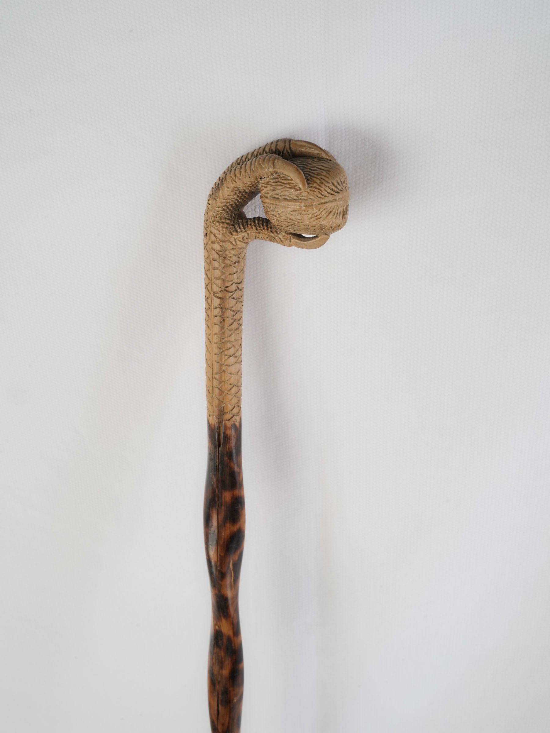 Mottled grain fantasy curiosity cane