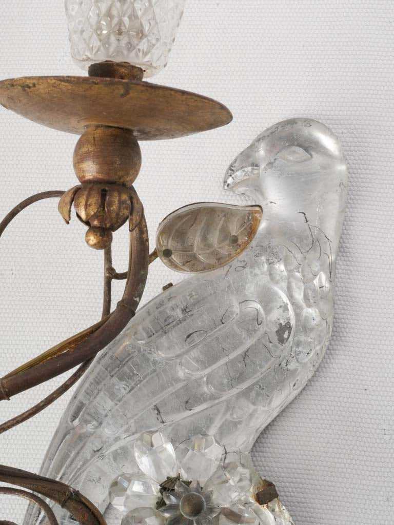 Crystal parrot decorative accents