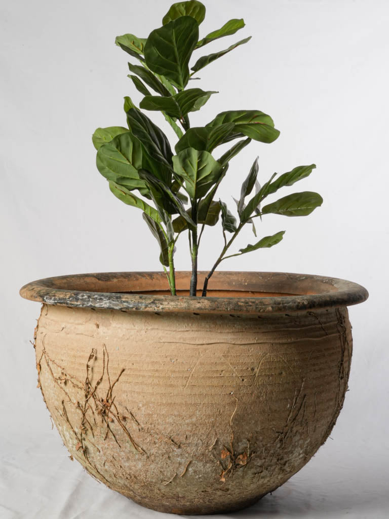 Timeworn Charentaise pottery planter