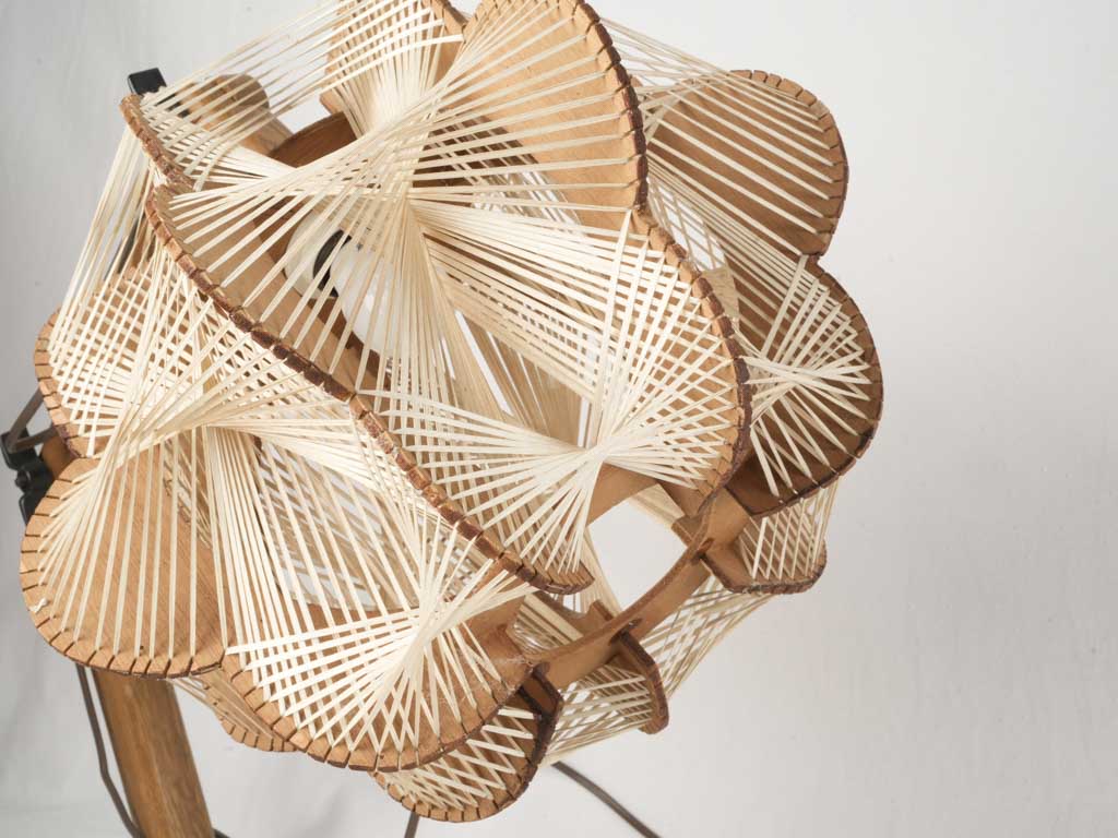 Unique woven shade floor lamp