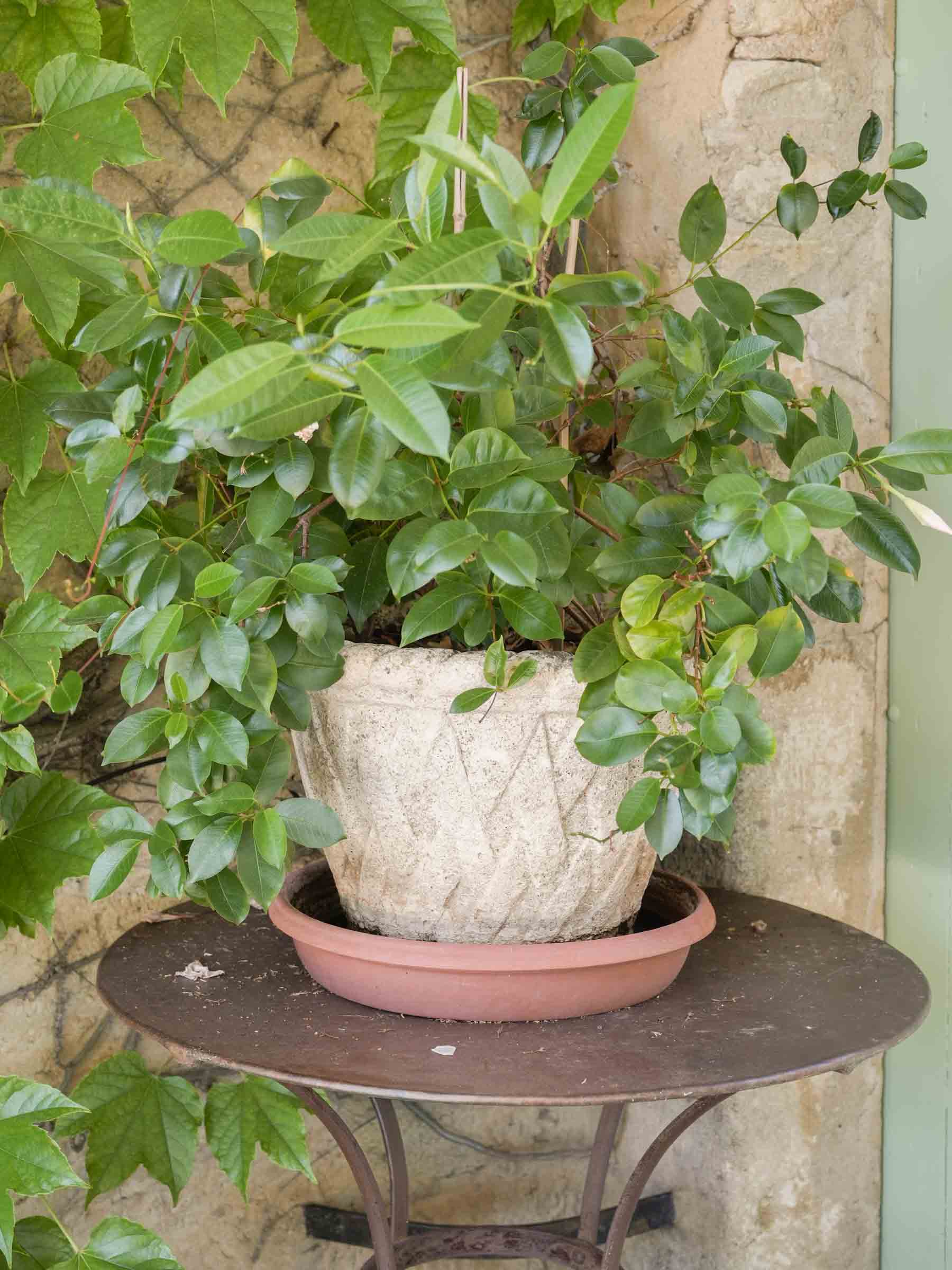 Pair of Vintage French Concrete Planters with Basket-Weave Pattern 11¾" x 15¾"
