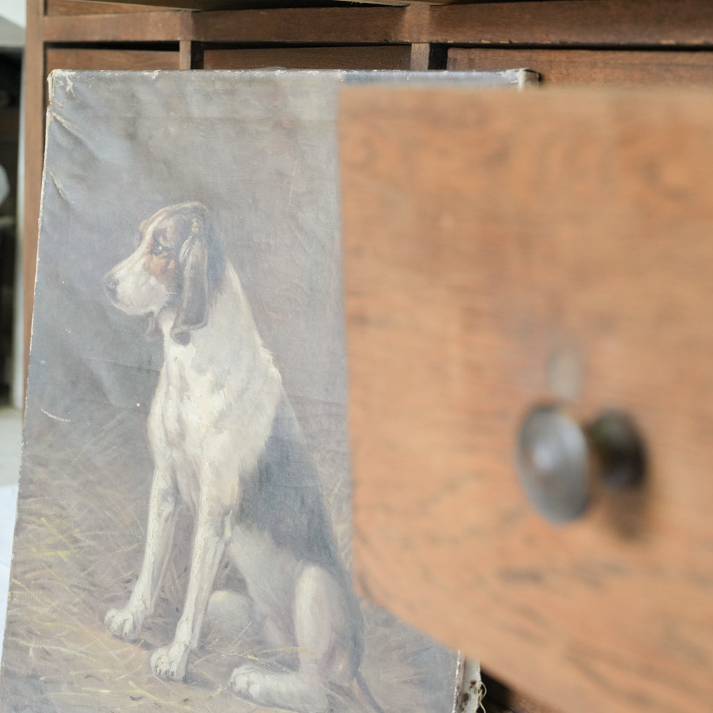 Collectible Poitou region dog art