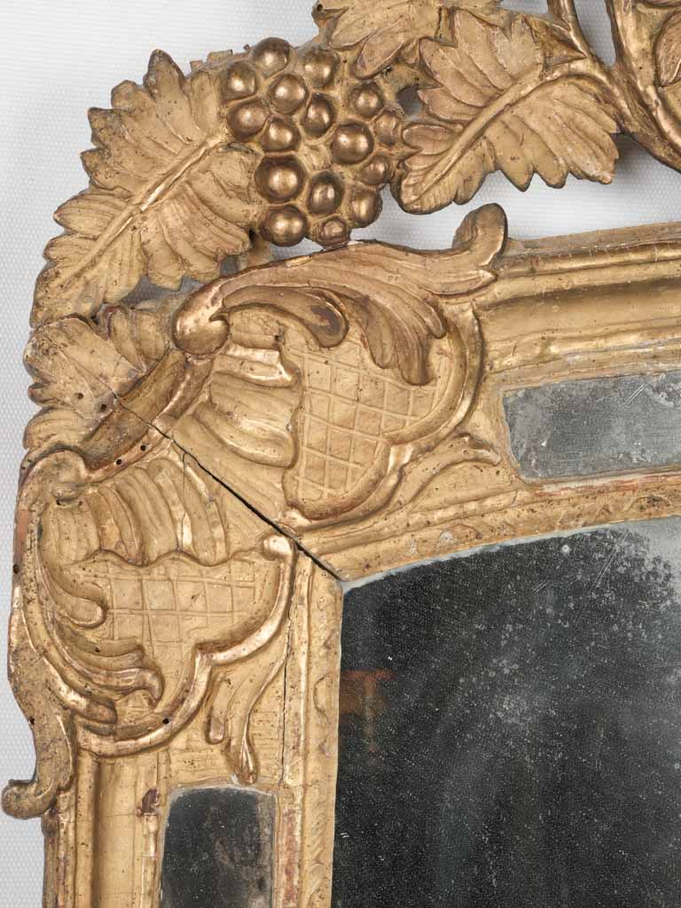 Opulent, historic grapes and roses mirror