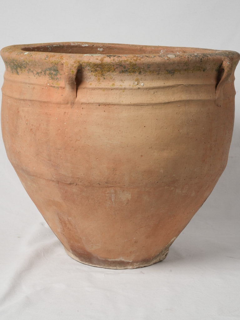 Antique utilitarian large terracotta pot