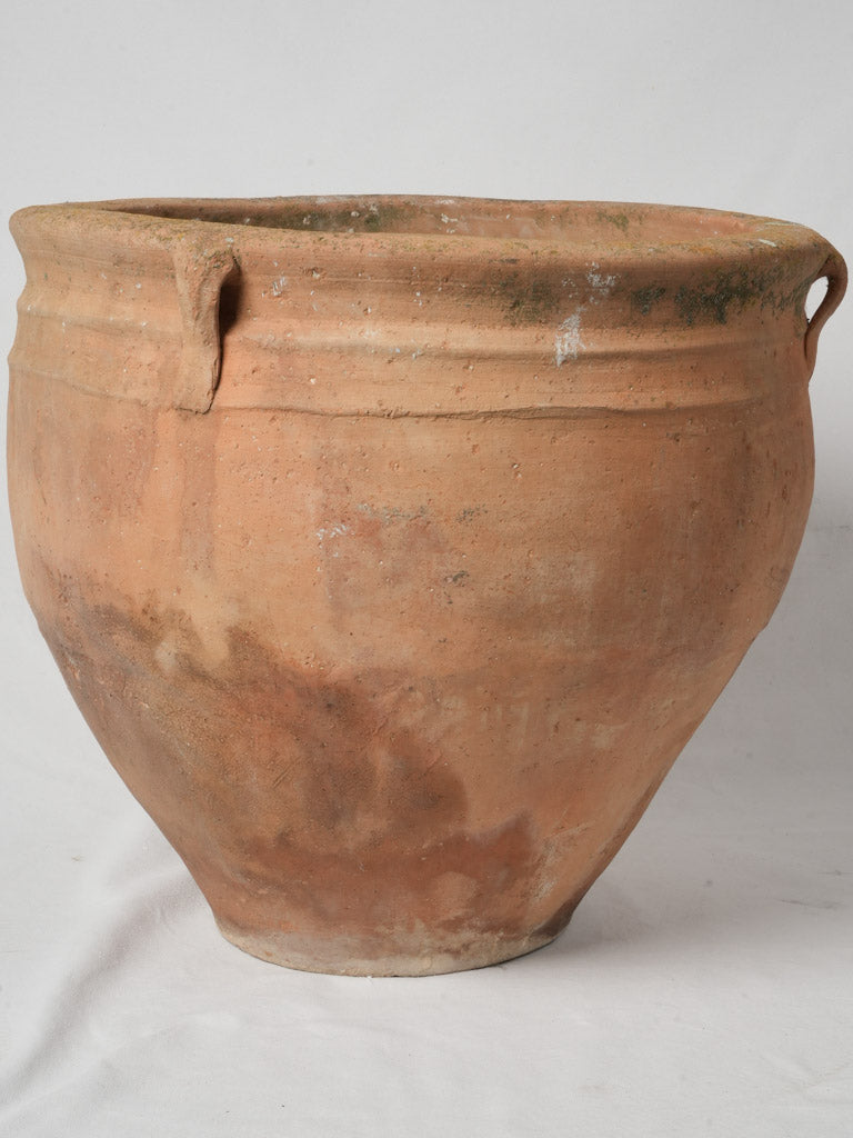 Patina-rich Italian heritage terracotta planter