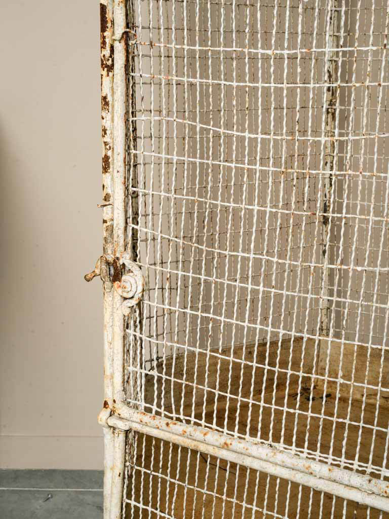 Elegant scrollwork iron aviary