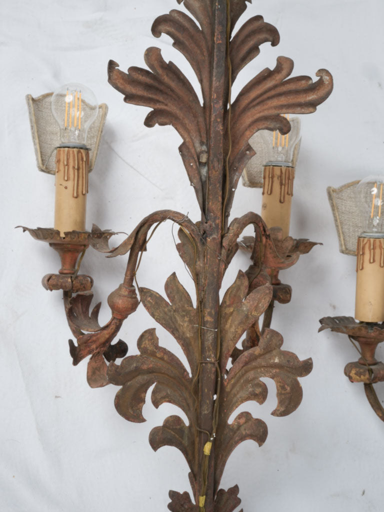 Antique Metal Acanthus Leaf Sconces