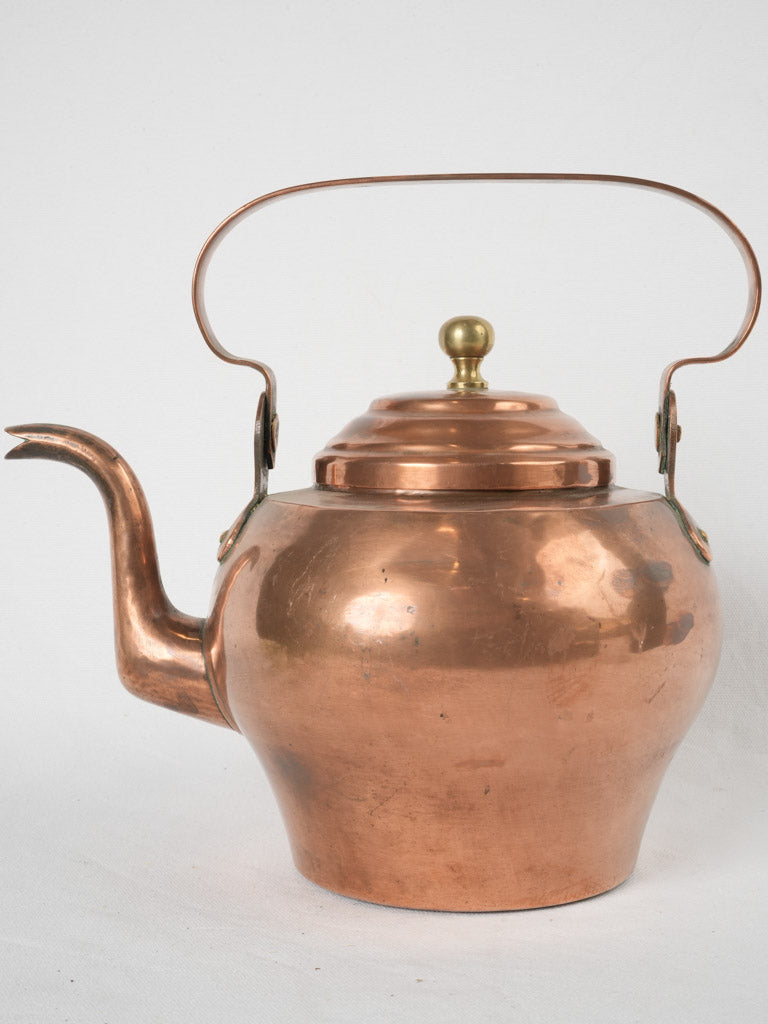 Charming historical bird beak kettle