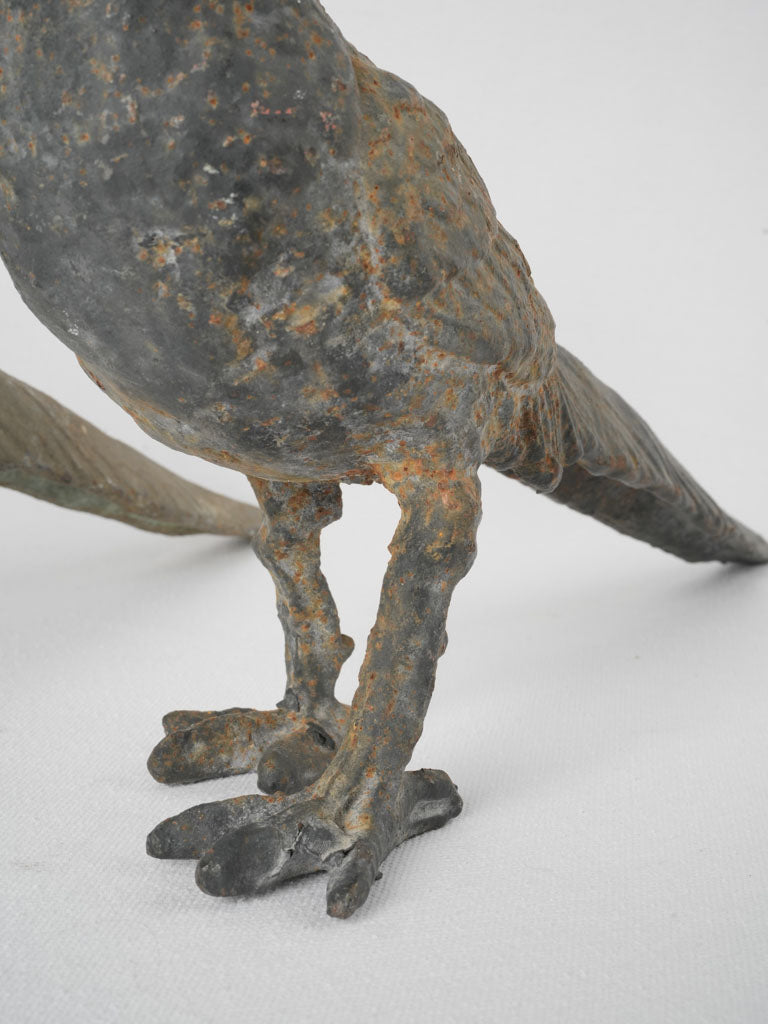 Curious pheasant cast iron accents