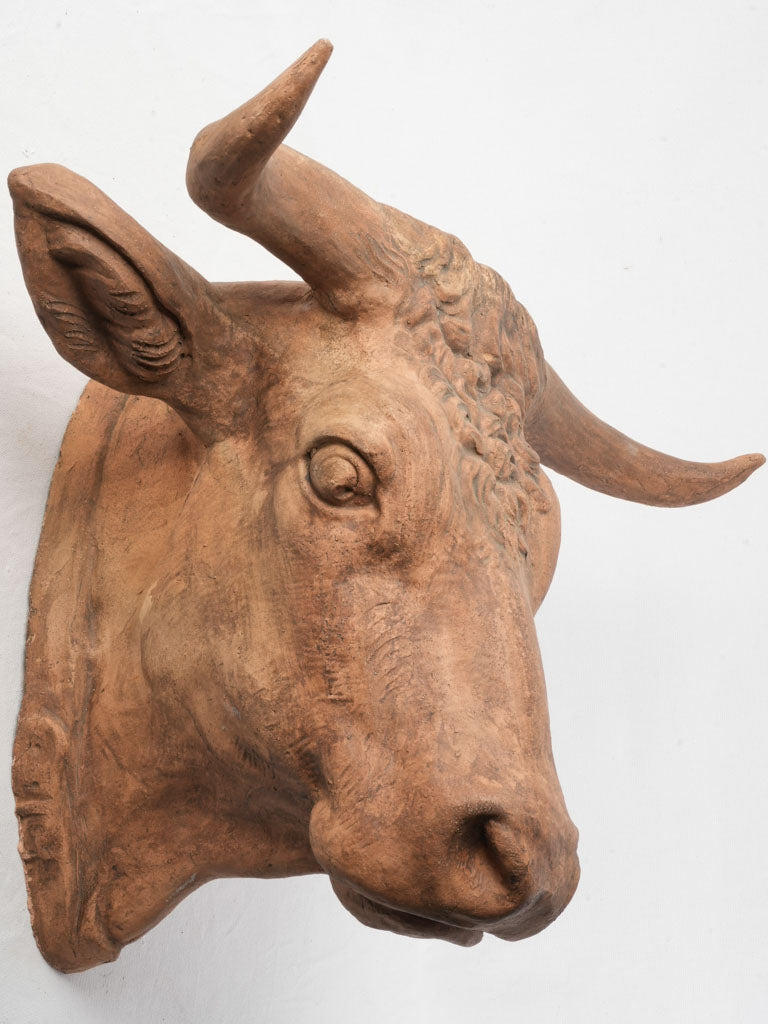 Superb Late 19th-Early 20th Century French Terracotta Bull Head Sculpture - 23¾"