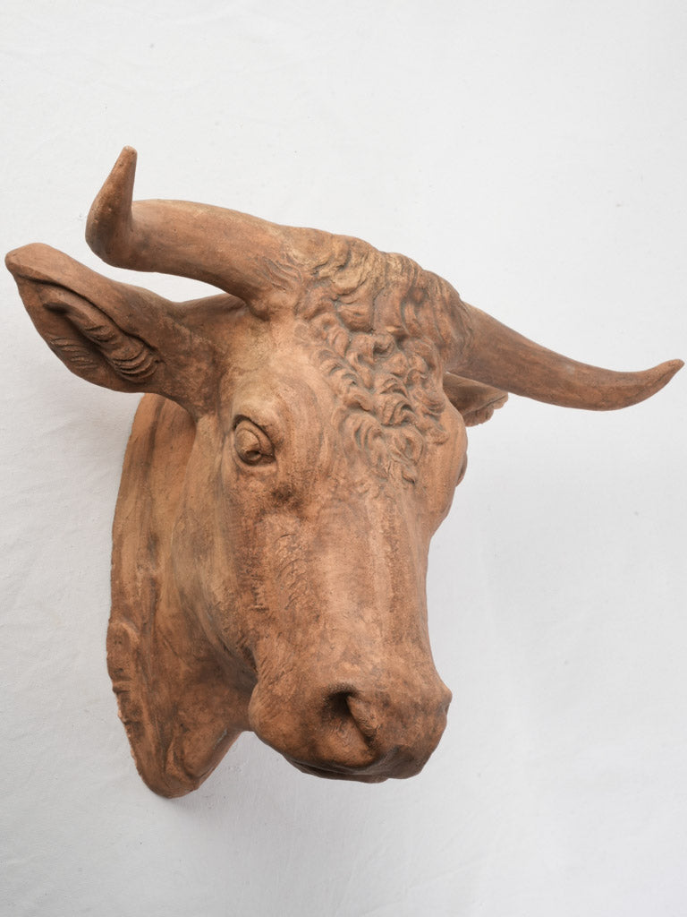 Superb Late 19th-Early 20th Century French Terracotta Bull Head Sculpture - 23¾"
