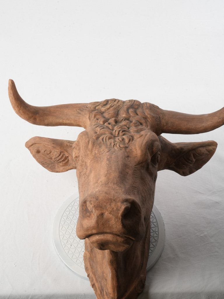Superb Late 19th-Early 20th Century French Terracotta Bull Head Sculpture - 23¾"