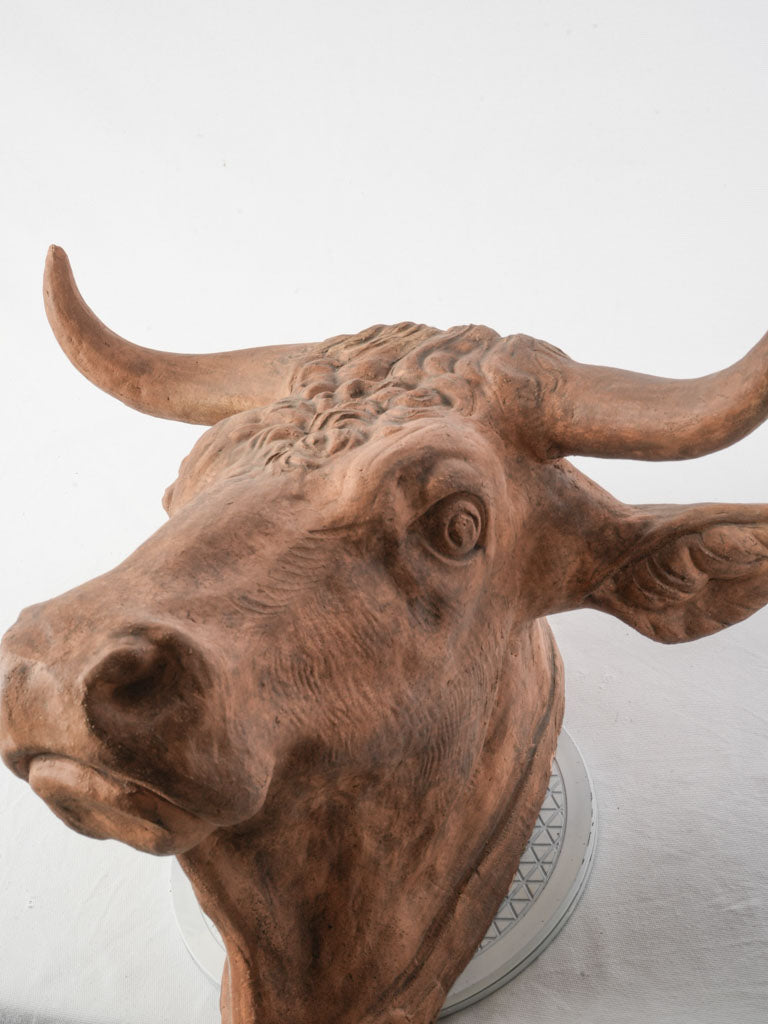 Superb Late 19th-Early 20th Century French Terracotta Bull Head Sculpture - 23¾"