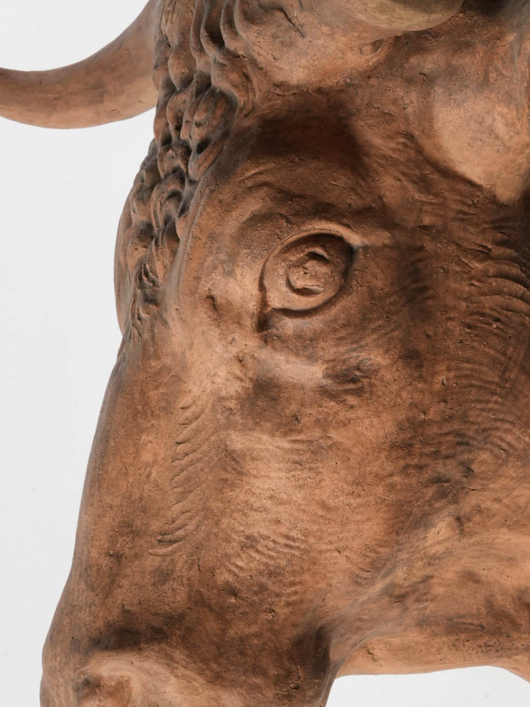 Striking life-size bull head sculpture