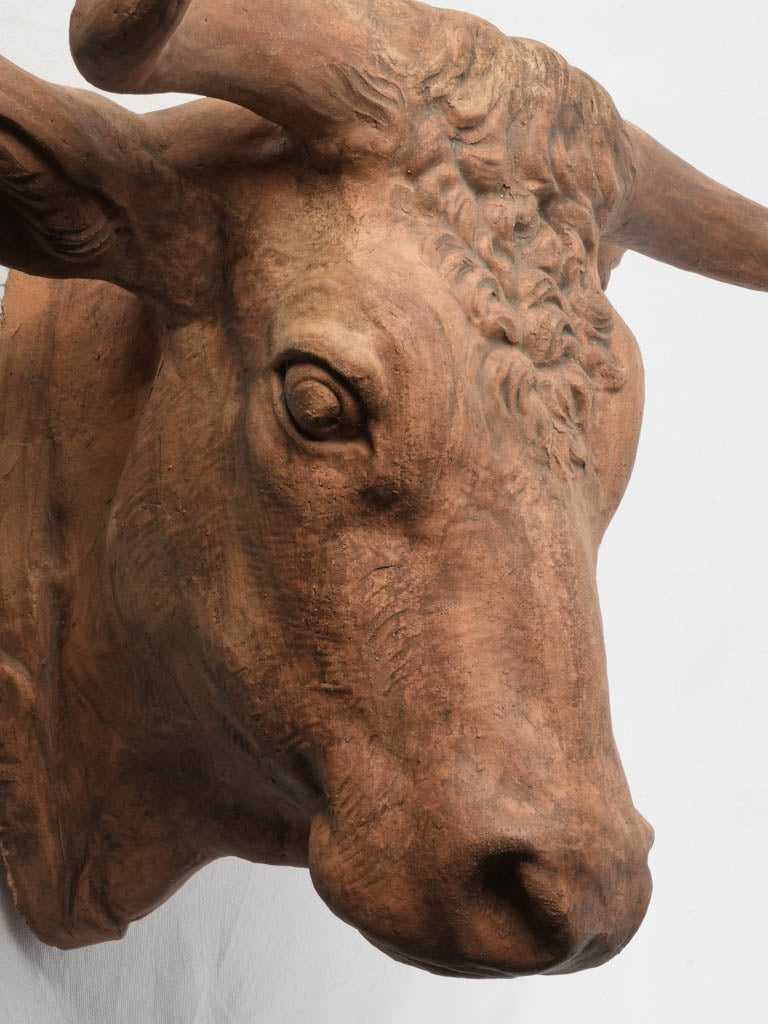 Superb Late 19th-Early 20th Century French Terracotta Bull Head Sculpture - 23¾"