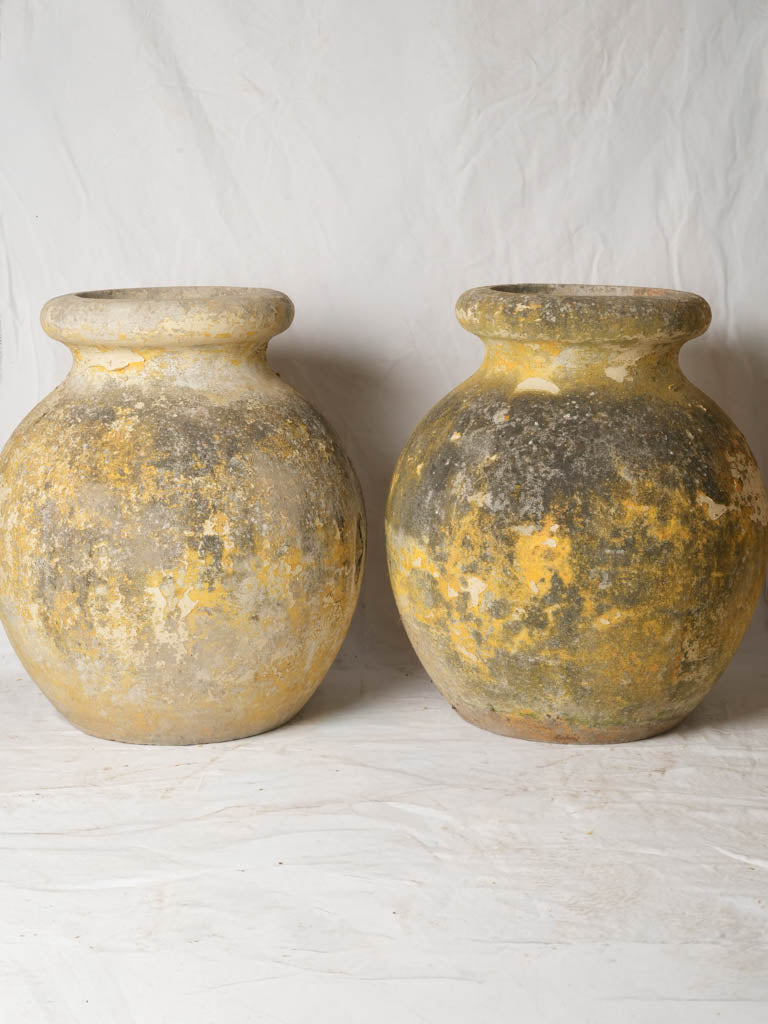 Sculptural Olivette garden planters